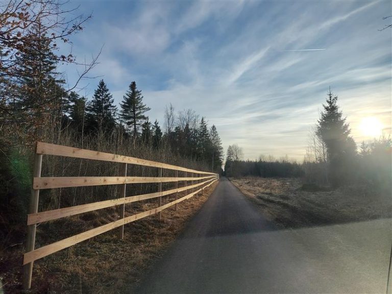 Baumschutzzäune schützen vor Baustellenverkehr