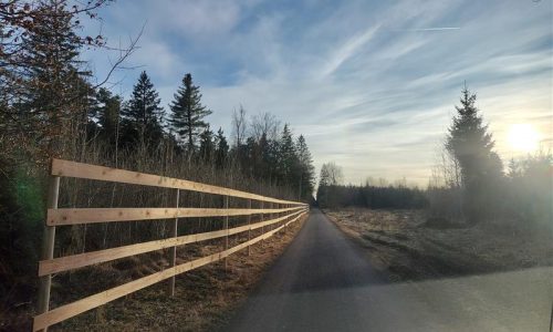Baumschutzzäune schützen vor Baustellenverkehr